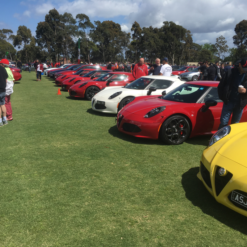 Illustration for article titled Alfa car show pic dump